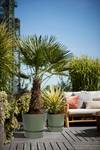 greenville round 30cm blad groen